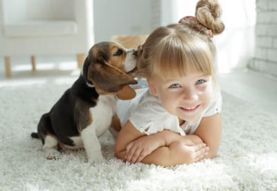 Fun Dog Facts for Kids | Huntersville Vet